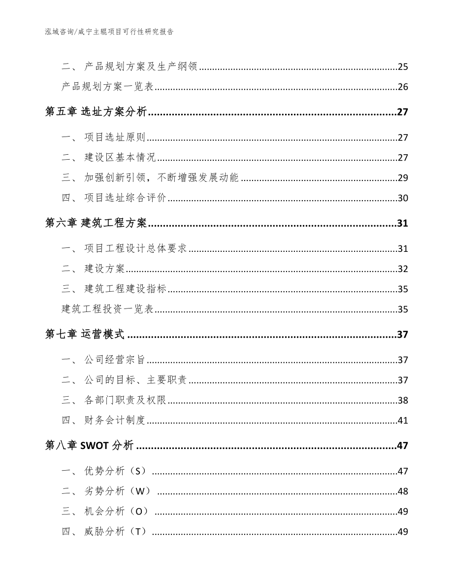 咸宁主辊项目可行性研究报告_第2页