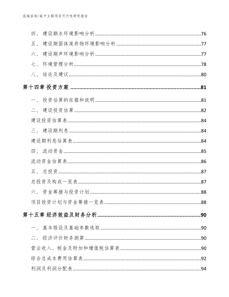 咸宁主辊项目可行性研究报告_第4页