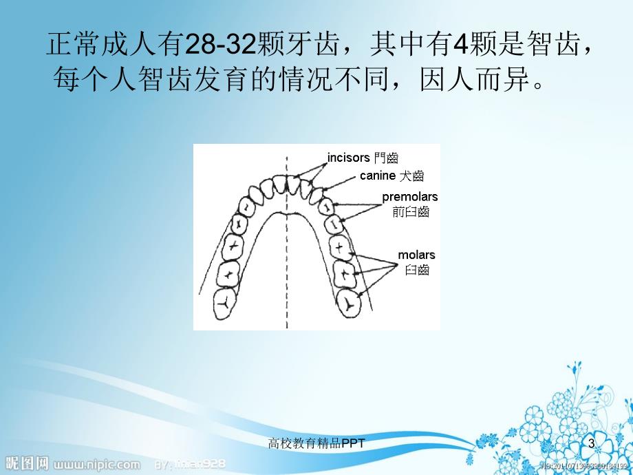 口腔健康小知识_第3页