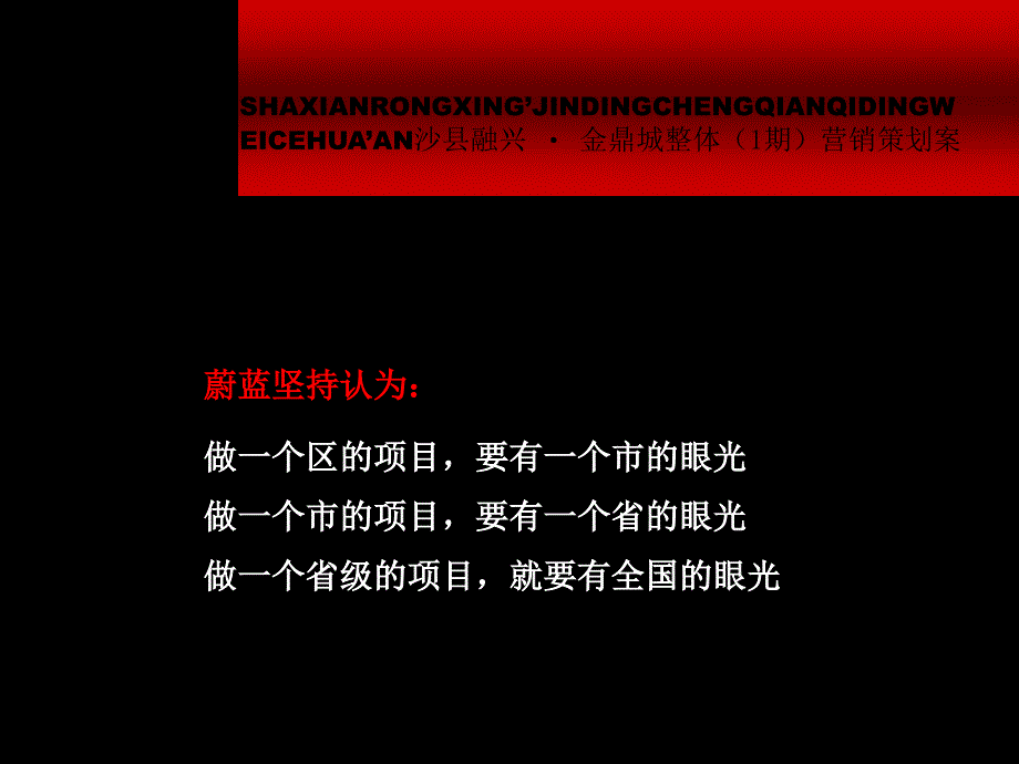 金鼎城一期整体营销策划推广案课件_第3页