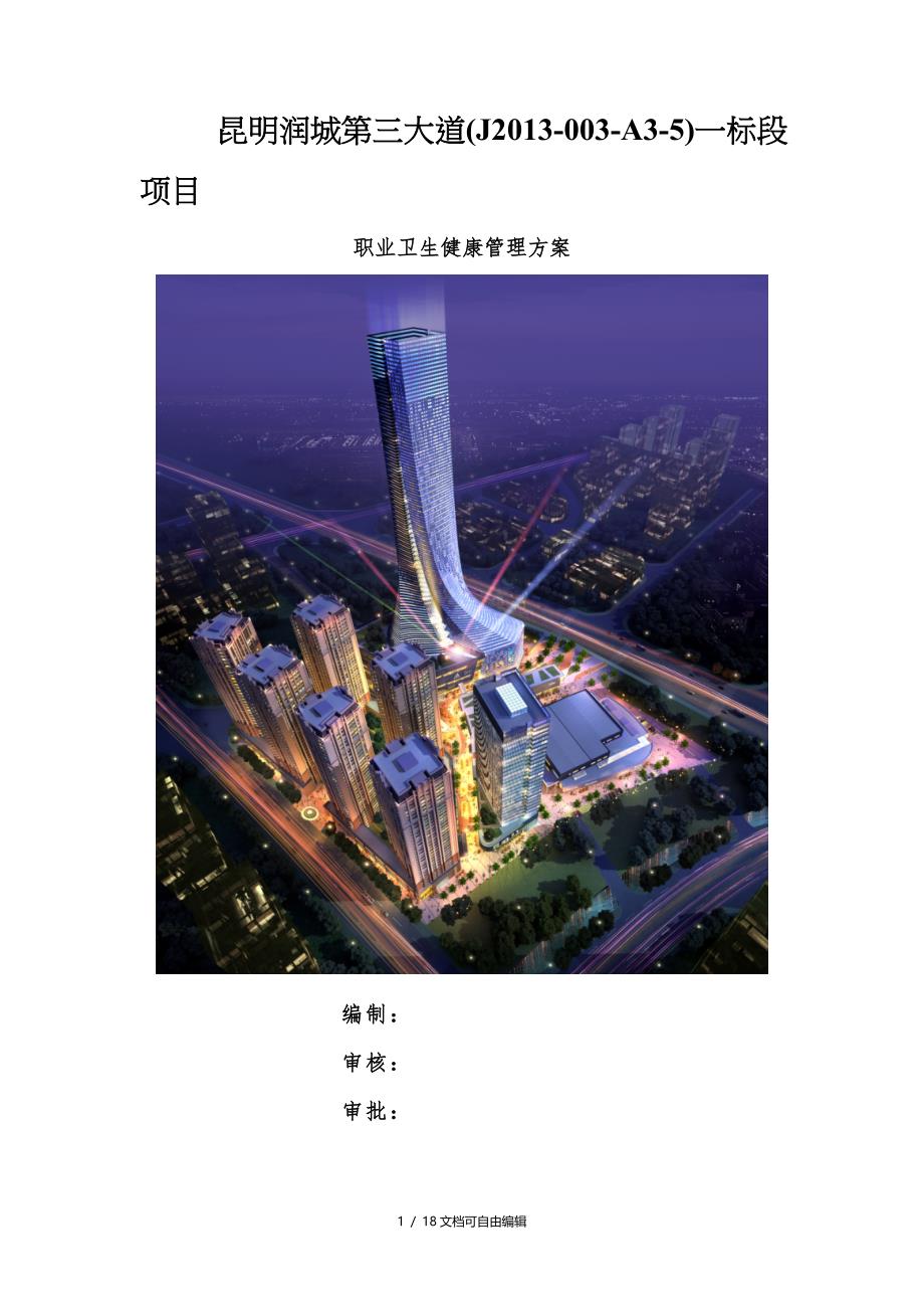 工程项目职业健康管理方案_第1页