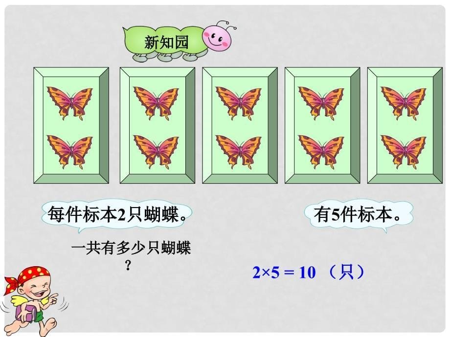 二年级数学上册 第七单元《制作标本 表内除法》（信息窗2）课件 青岛版_第5页