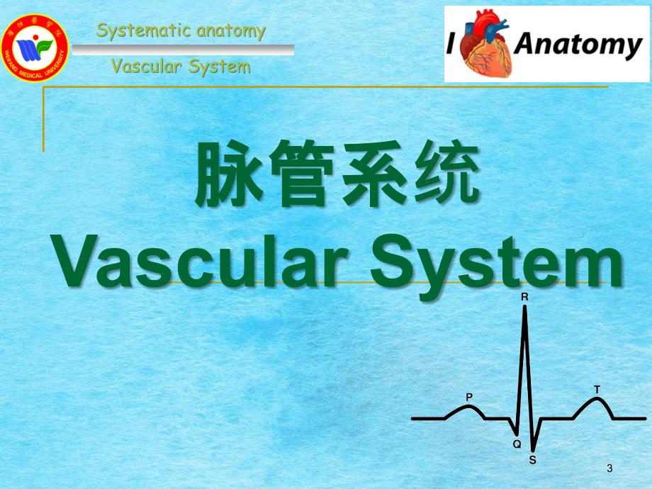 系统解剖学15心ppt课件_第3页