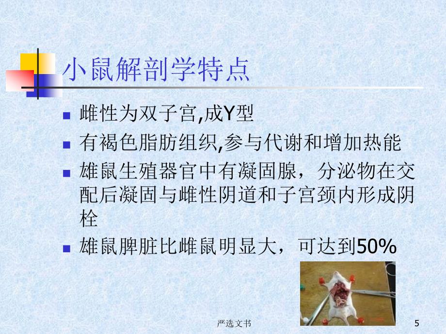 常用实验动物特性53761优质分析_第5页