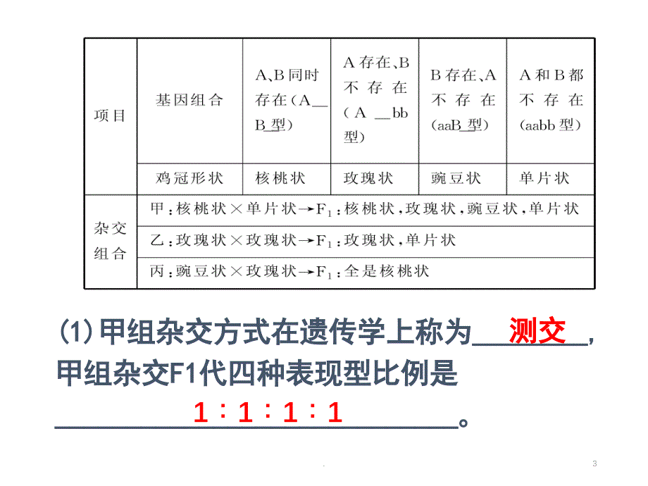 基因自由组合定律复习PPT精品文档_第3页