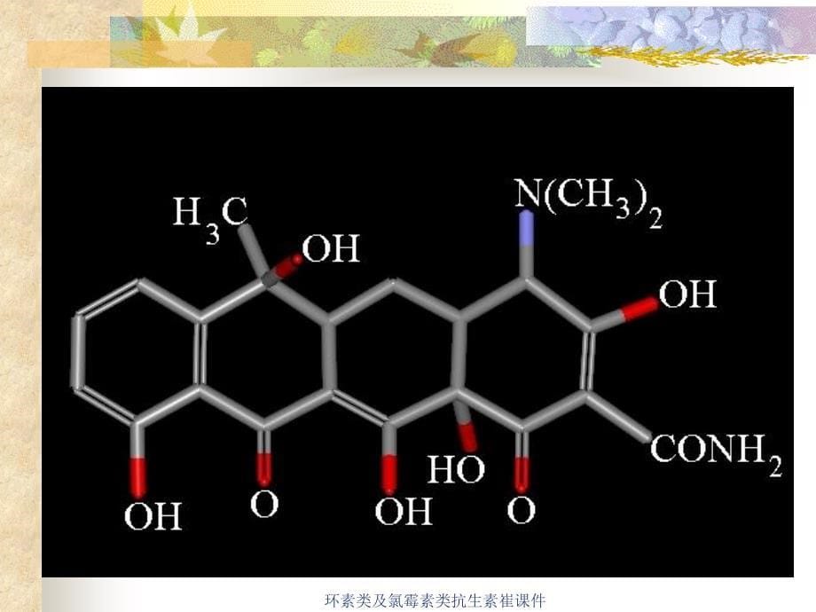 环素类及氯霉素类抗生素崔课件_第5页