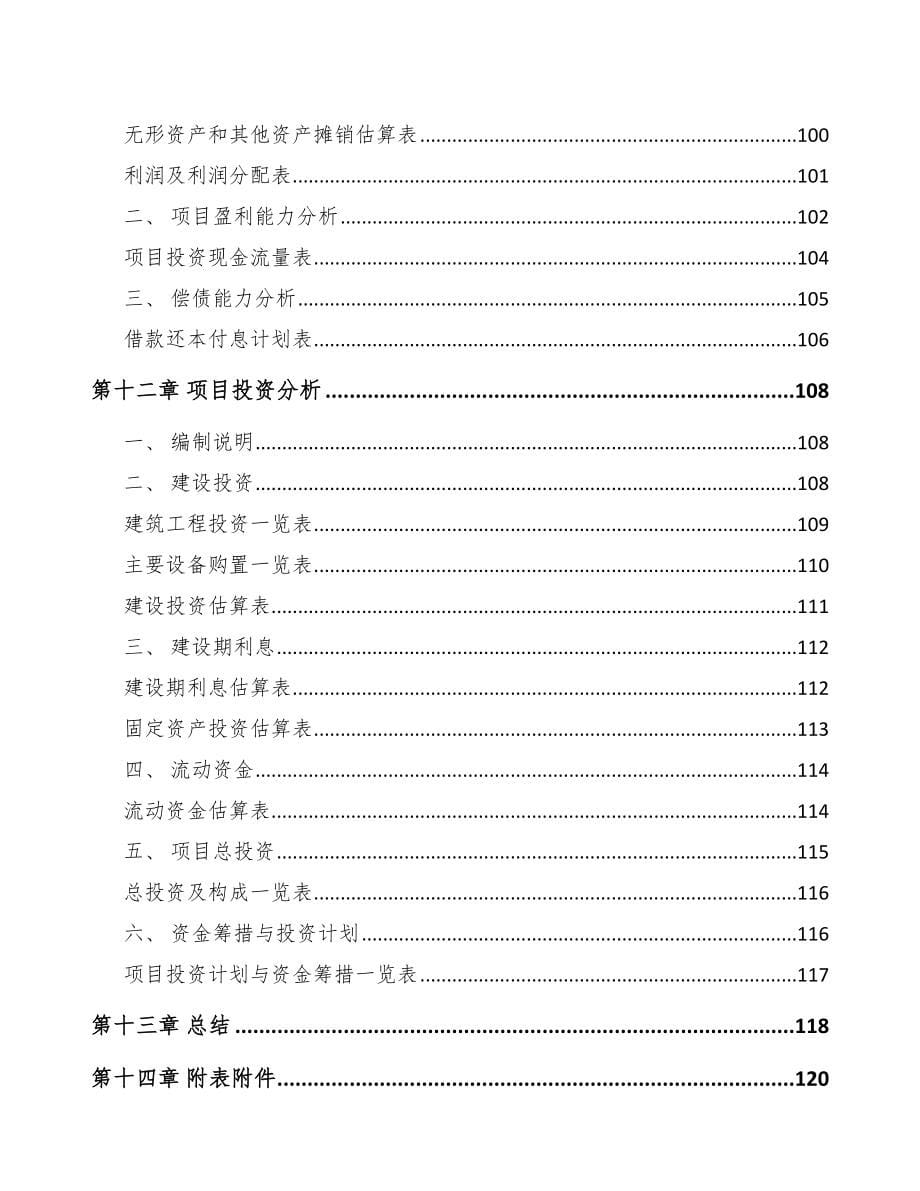 中山关于成立锂电材料公司可行性报告_第5页