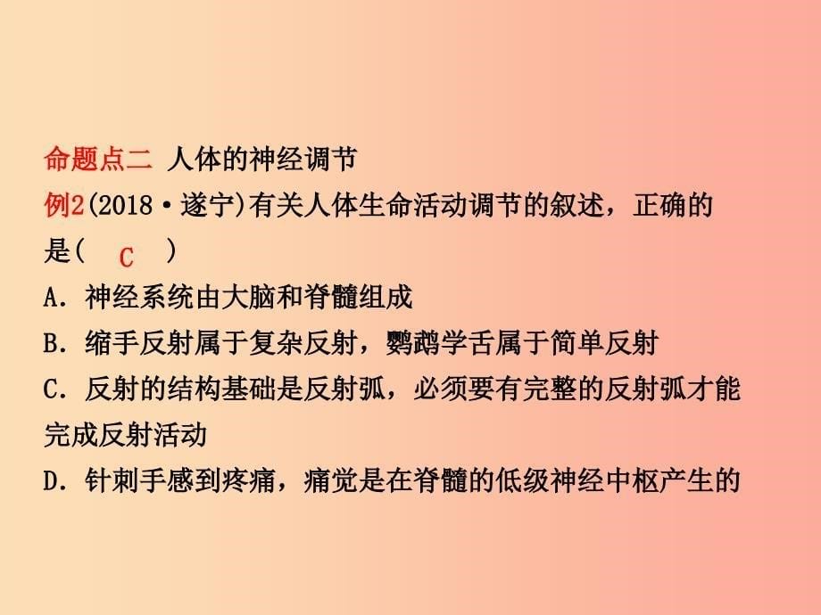 江西专版2019中考生物第2部分专题六人体生命活动的调节复习课件.ppt_第5页