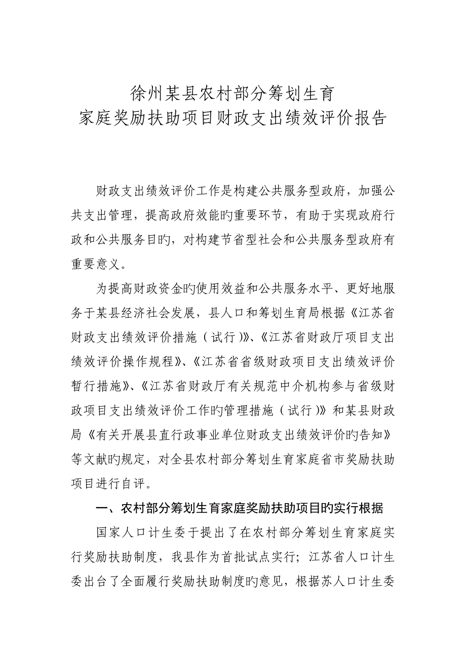 计生奖励扶助绩效评价专项项目自评经典报告_第1页