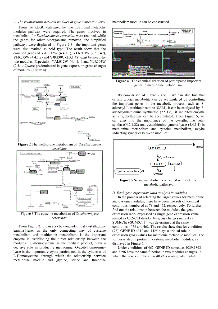 外文翻译--Gene expression data displaying up-regulation and down-regulation of amino acid nutritional metabolic modules_第3页