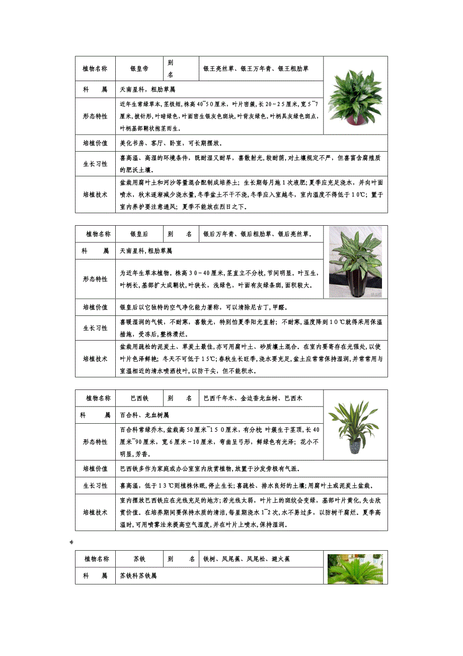 常见室内盆栽绿化植物介绍(带图片)-免费_第1页