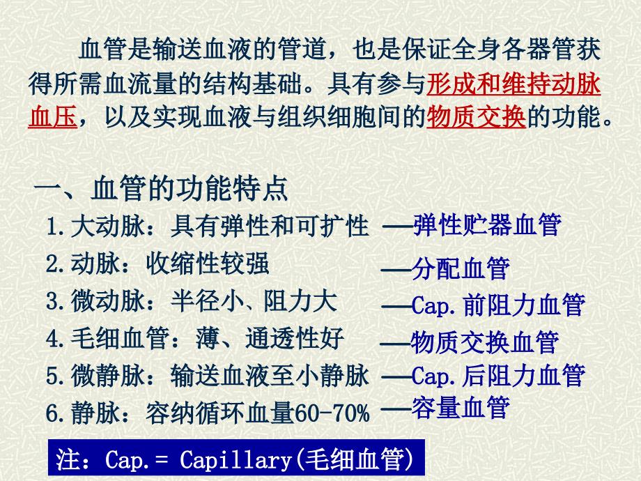 生理学教学课件：循环4_第2页