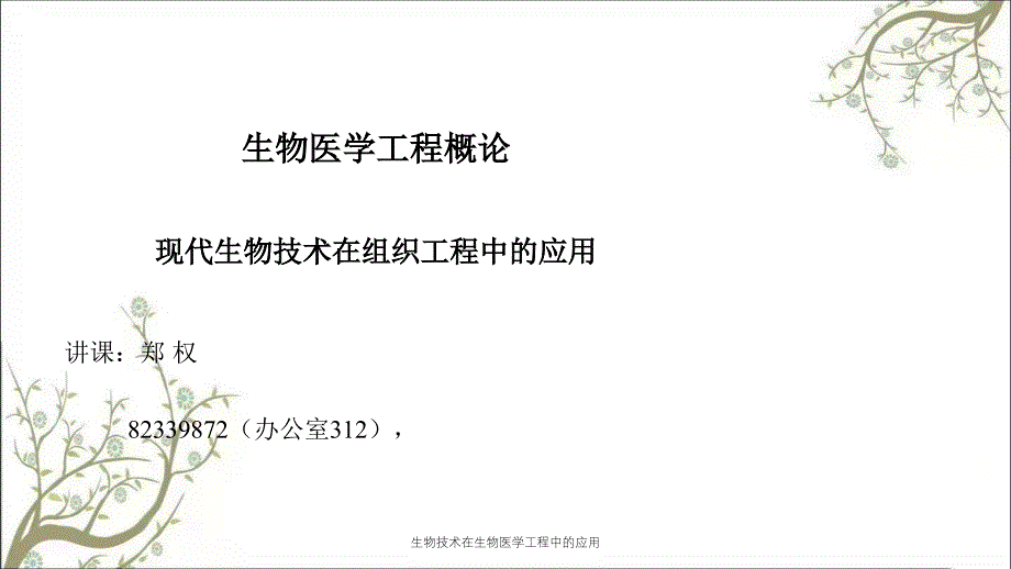 生物技术在生物医学工程中的应用_第1页