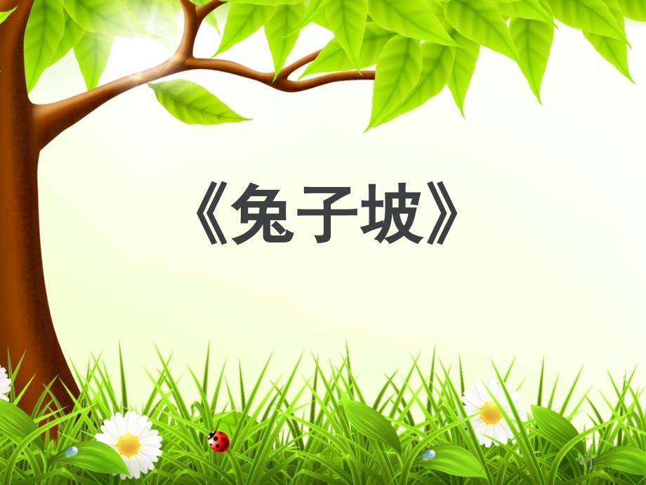 兔子坡阅读课课堂PPT_第1页