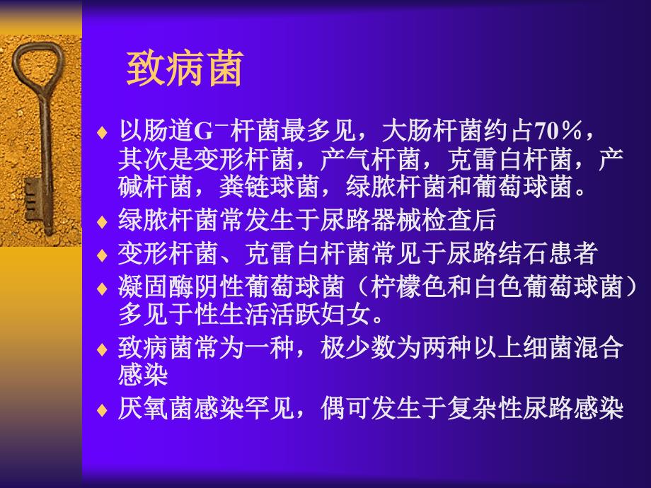 肾病课件——尿路感染_第3页