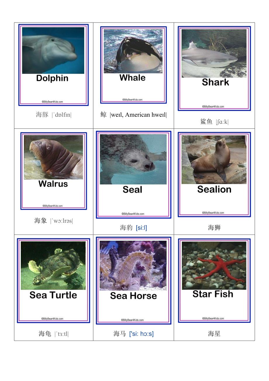海洋动物英语单词_第1页
