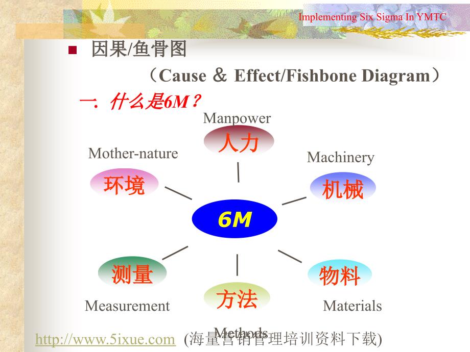 六西格玛工具之--因果、鱼骨图教学提纲_第2页