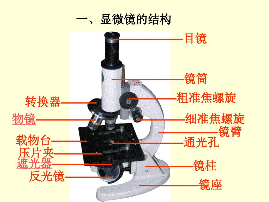 二单元第一章第一节练习使用显微镜共28张PPT_第2页