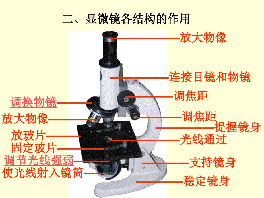 二单元第一章第一节练习使用显微镜共28张PPT_第3页