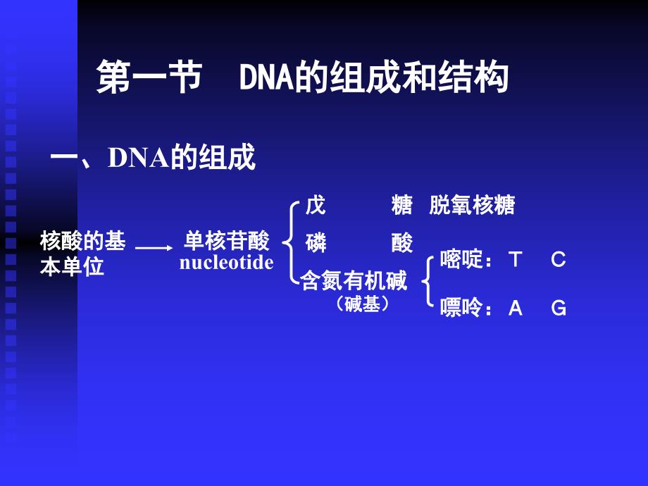 03遗传分子基础_第2页