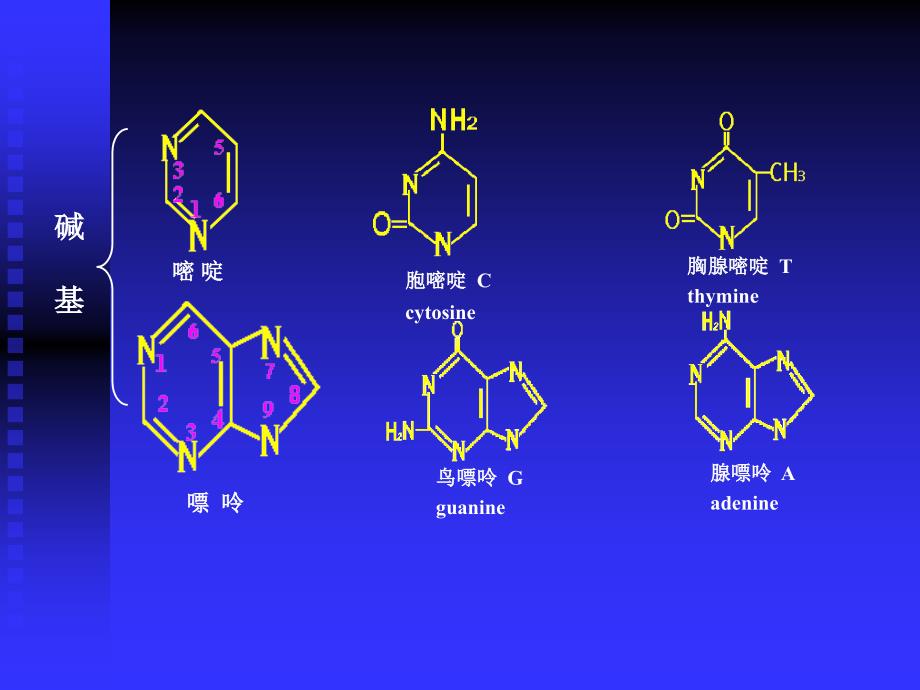 03遗传分子基础_第3页