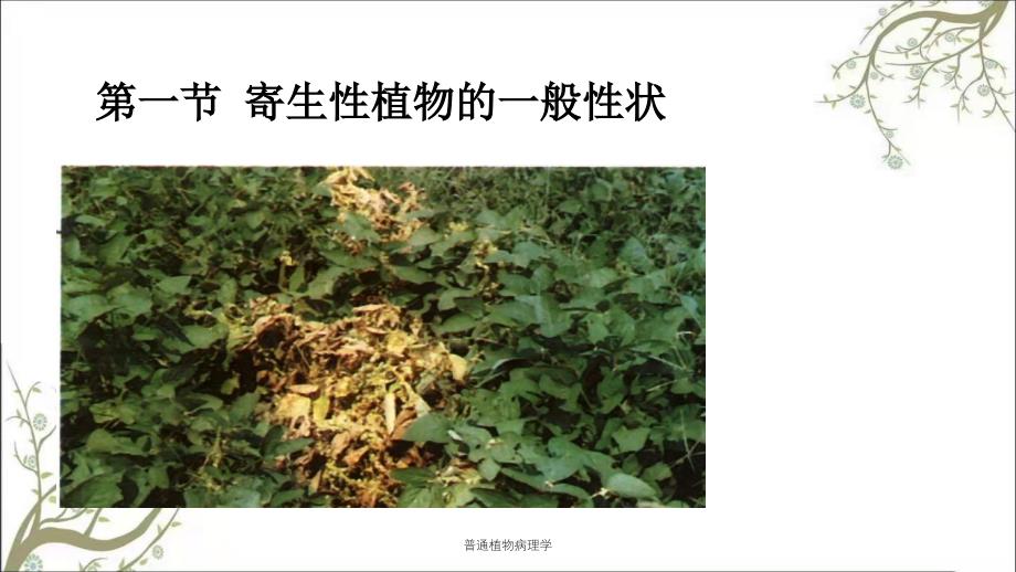 普通植物病理学课件_第4页