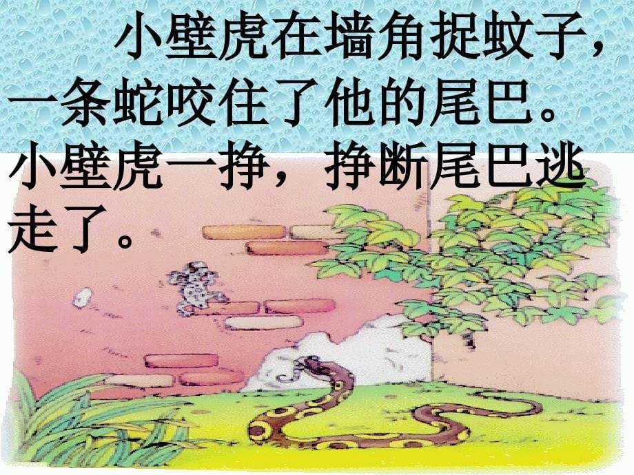 《小壁虎借尾巴》》PPT课件_第5页