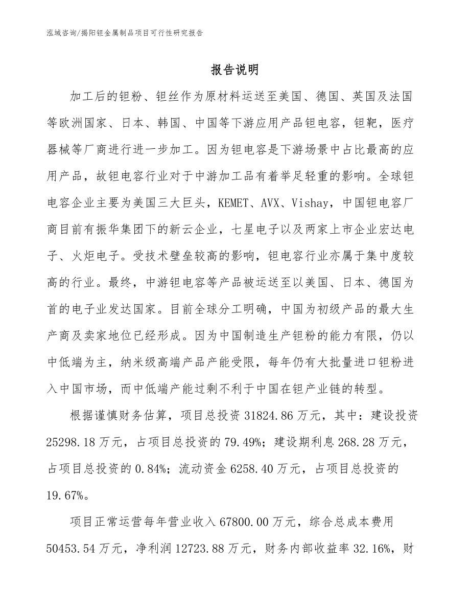 揭阳钽金属制品项目可行性研究报告_第2页