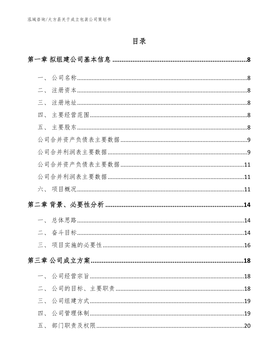 大方县关于成立包装公司策划书模板参考_第2页