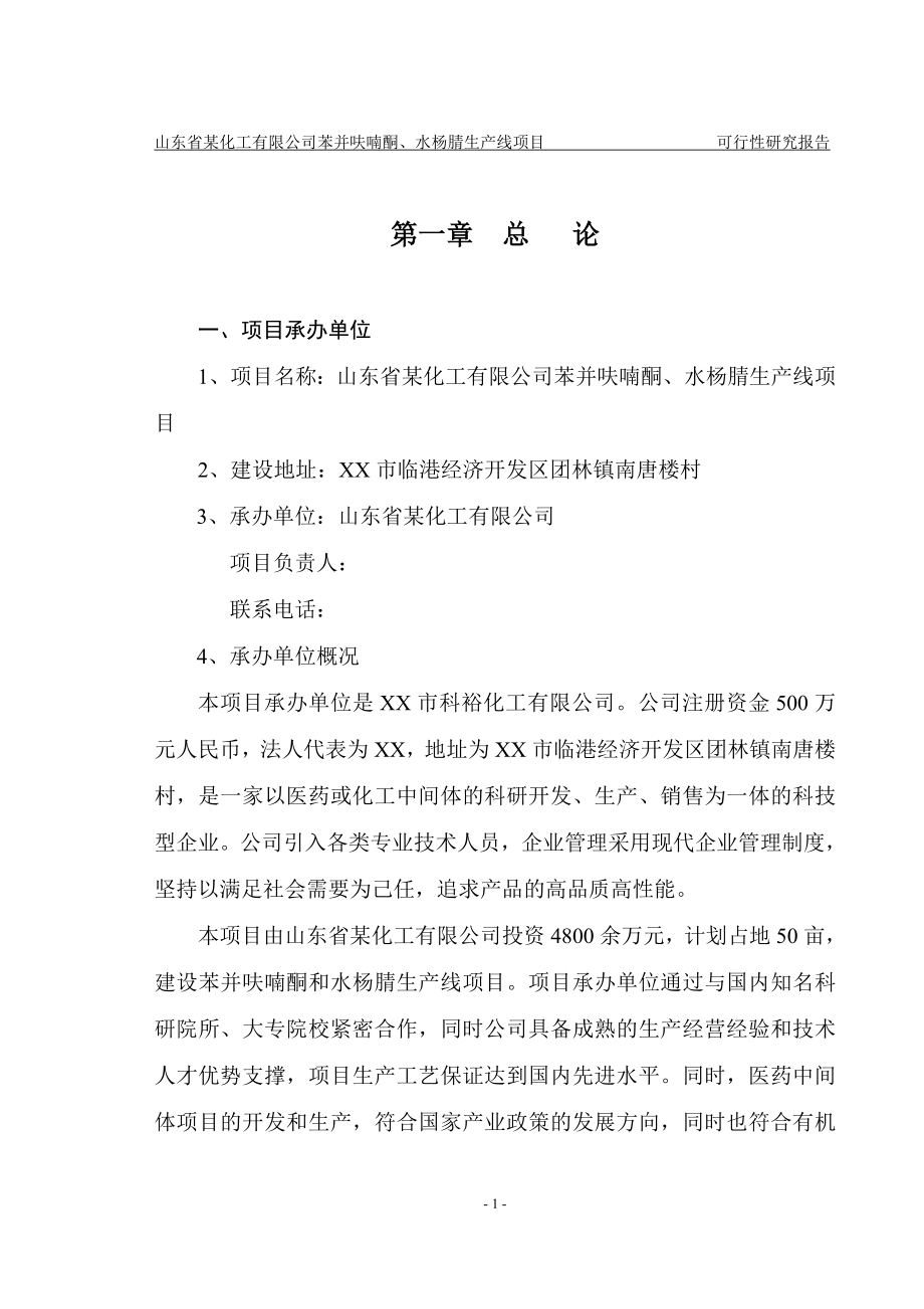 山东省某化工公司苯并呋喃酮、水杨腈生产线项目资金申请报告.doc_第3页