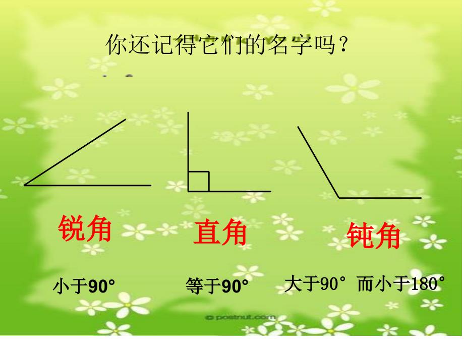 三角形分类课件_第2页