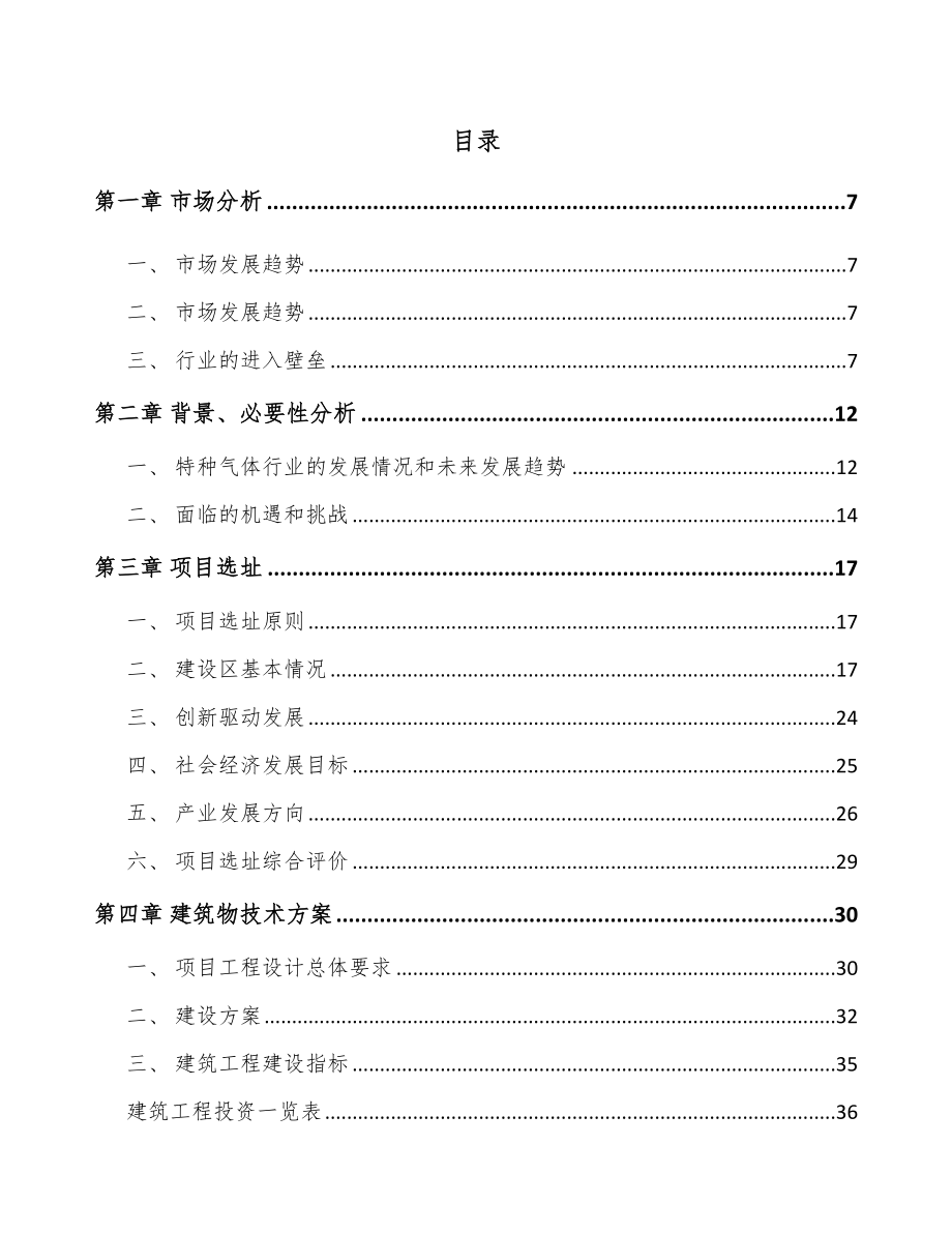 昆明特种气体项目可行性研究报告_第2页