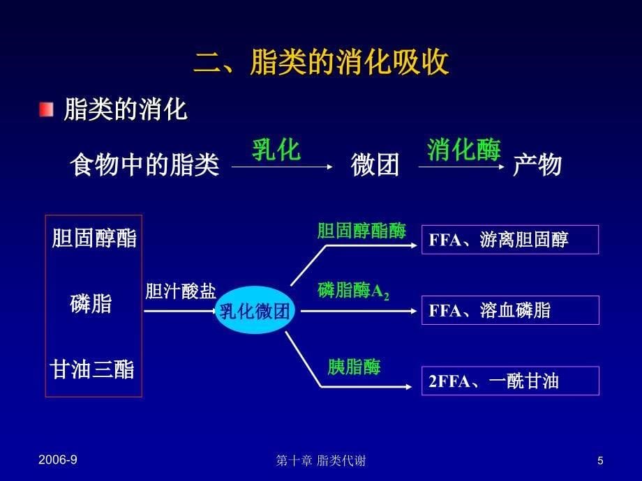 第九章脂类代谢_第5页