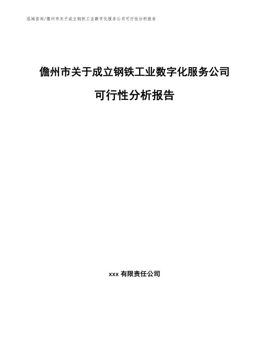 儋州市关于成立钢铁工业数字化服务公司可行性分析报告_第1页