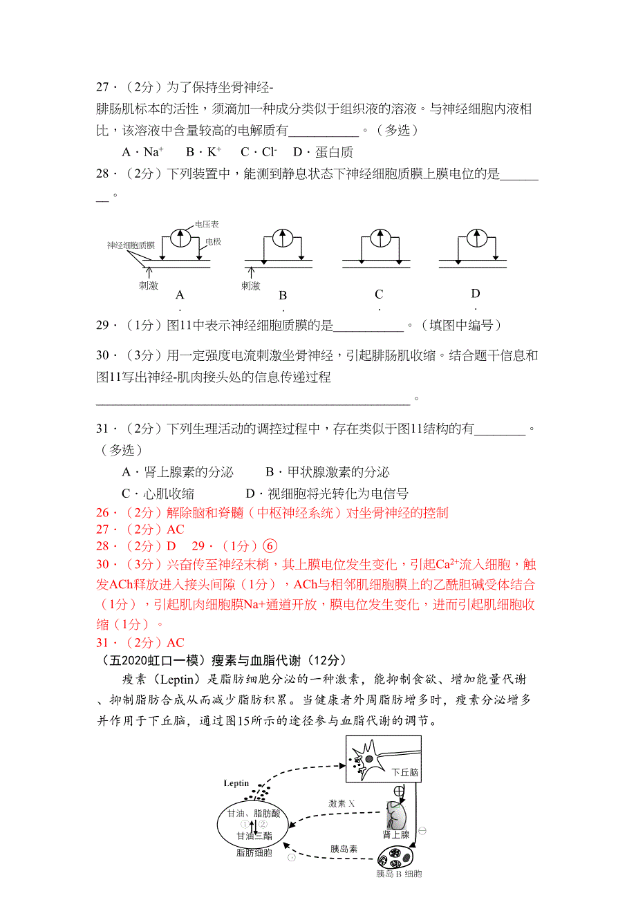 沪科版2020生命科学一模综合题分类汇编：内环境自稳态(DOC 22页)_第3页