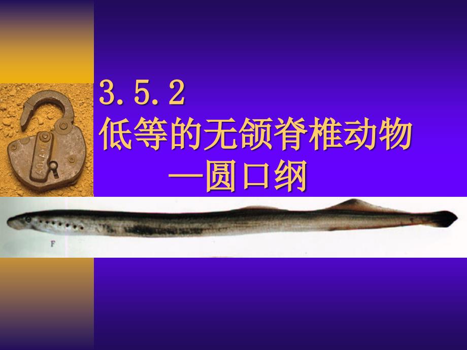 生物科学专业原口纲_第1页