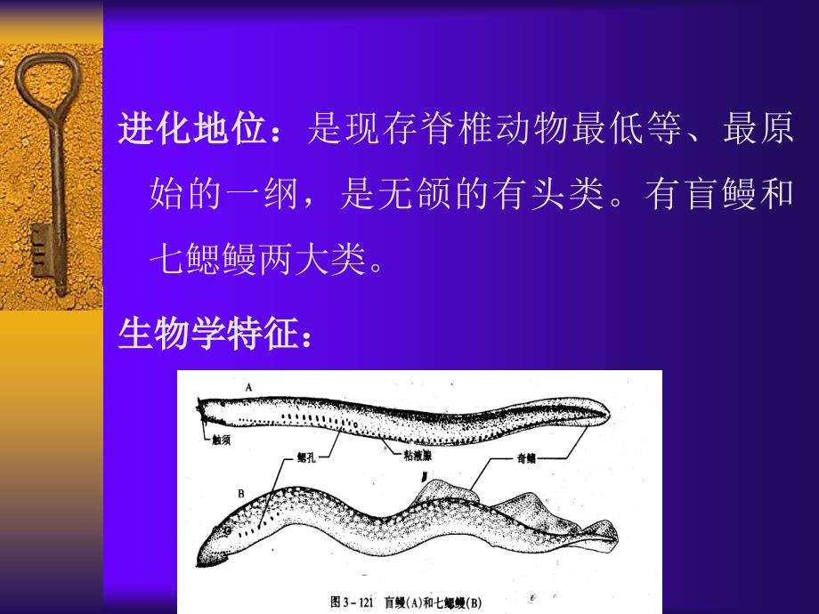 生物科学专业原口纲_第2页