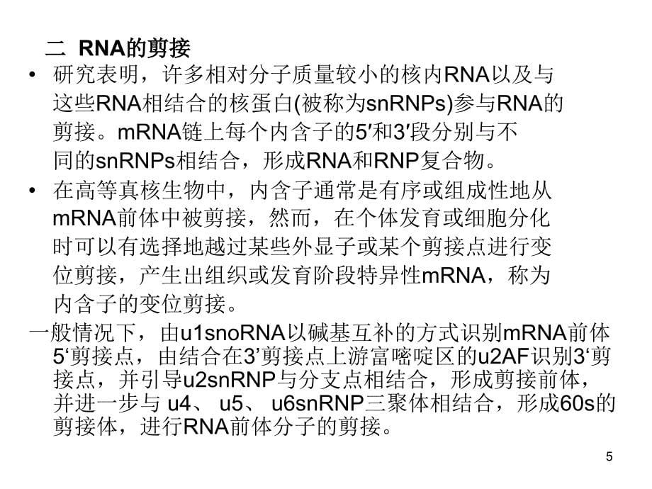 打印现在分子生物学_第5页