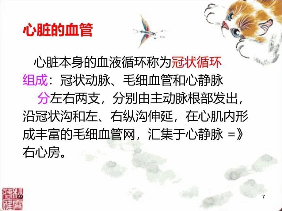 解剖生理ppt课件——心血管系统---最新_第5页