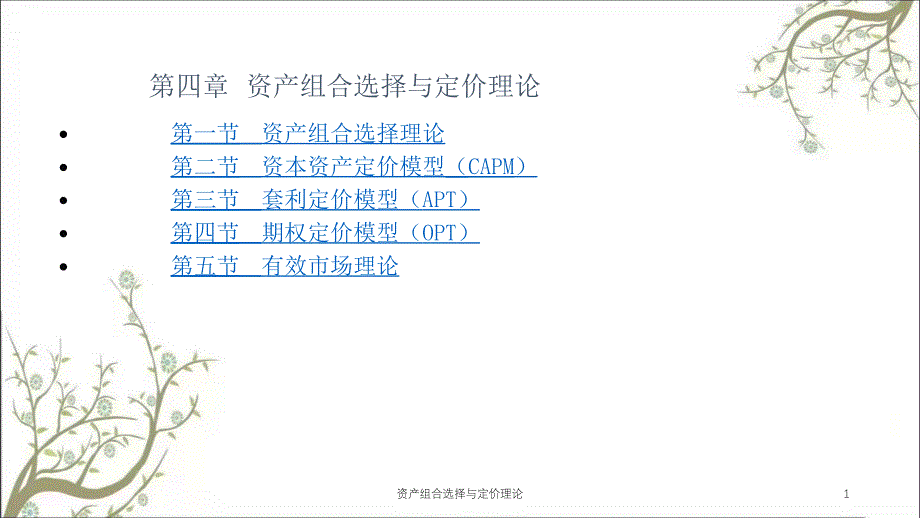 资产组合选择与定价理论课件_第1页