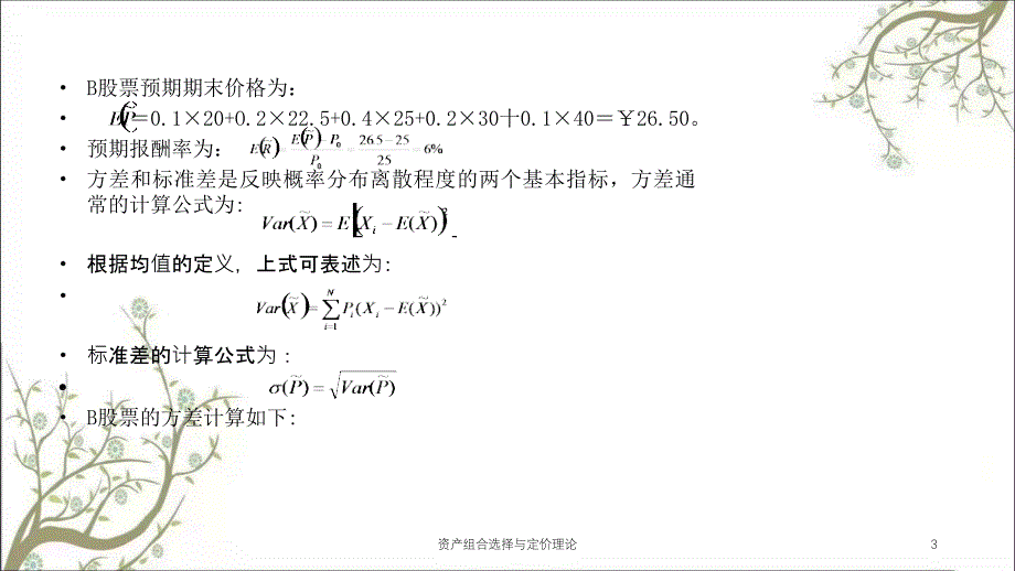 资产组合选择与定价理论课件_第3页