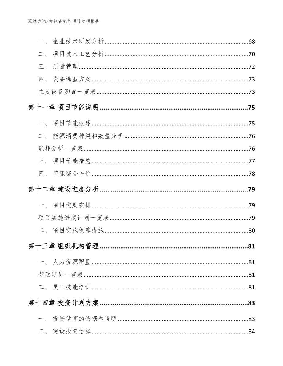 吉林省氢能项目立项报告【模板范文】_第5页