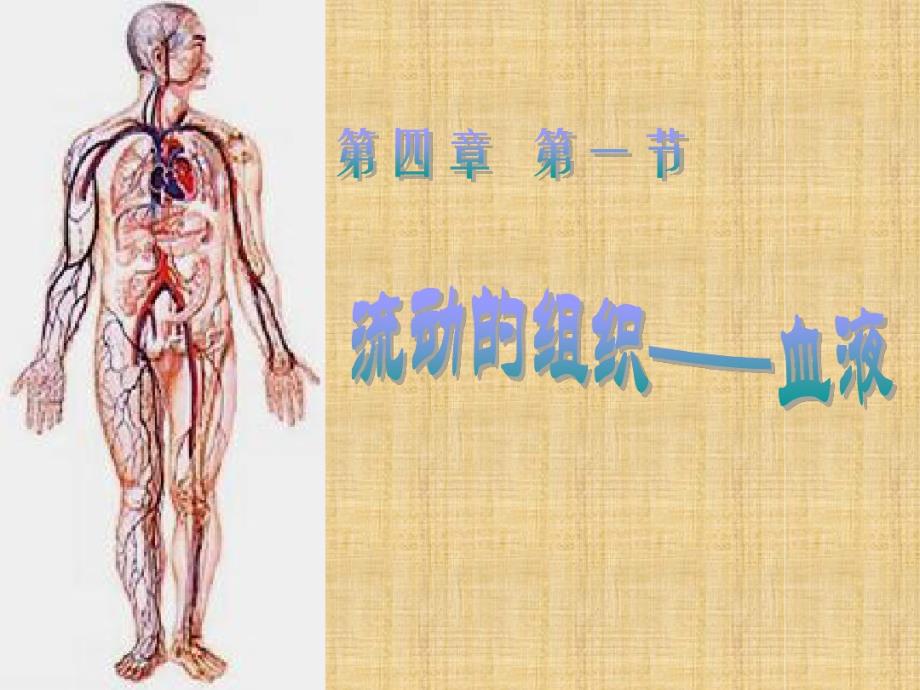 初中七年级生物下册41流动的组织andmdashandmdash血液名师优质课件新版新人教版_第1页