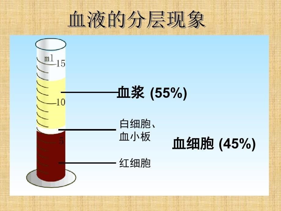 初中七年级生物下册41流动的组织andmdashandmdash血液名师优质课件新版新人教版_第5页