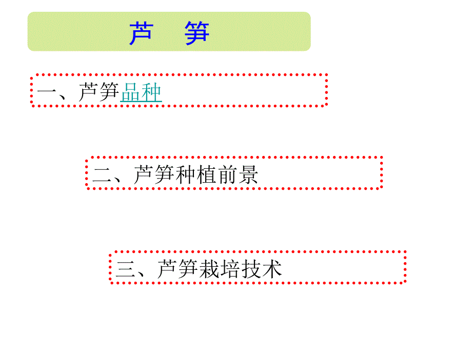 芦笋栽培技术_第2页