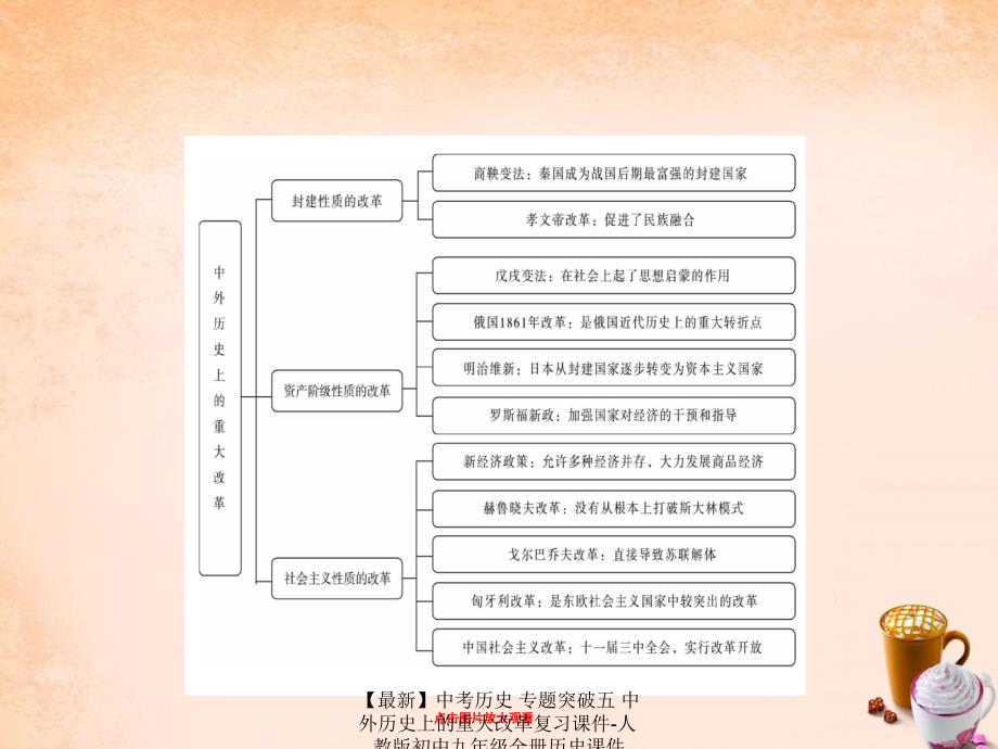 最新中考历史专题突破五中外历史上的重大改革复习课件人教版初中九年级全册历史课件_第2页