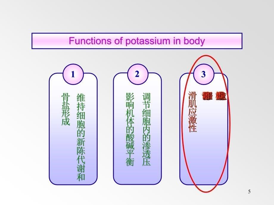 实验性高血钾PPT课件_第5页