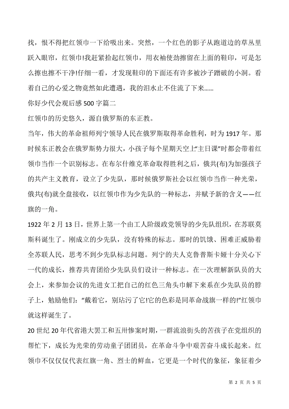 2020你好少代会观后感500字精选5篇.docx_第2页