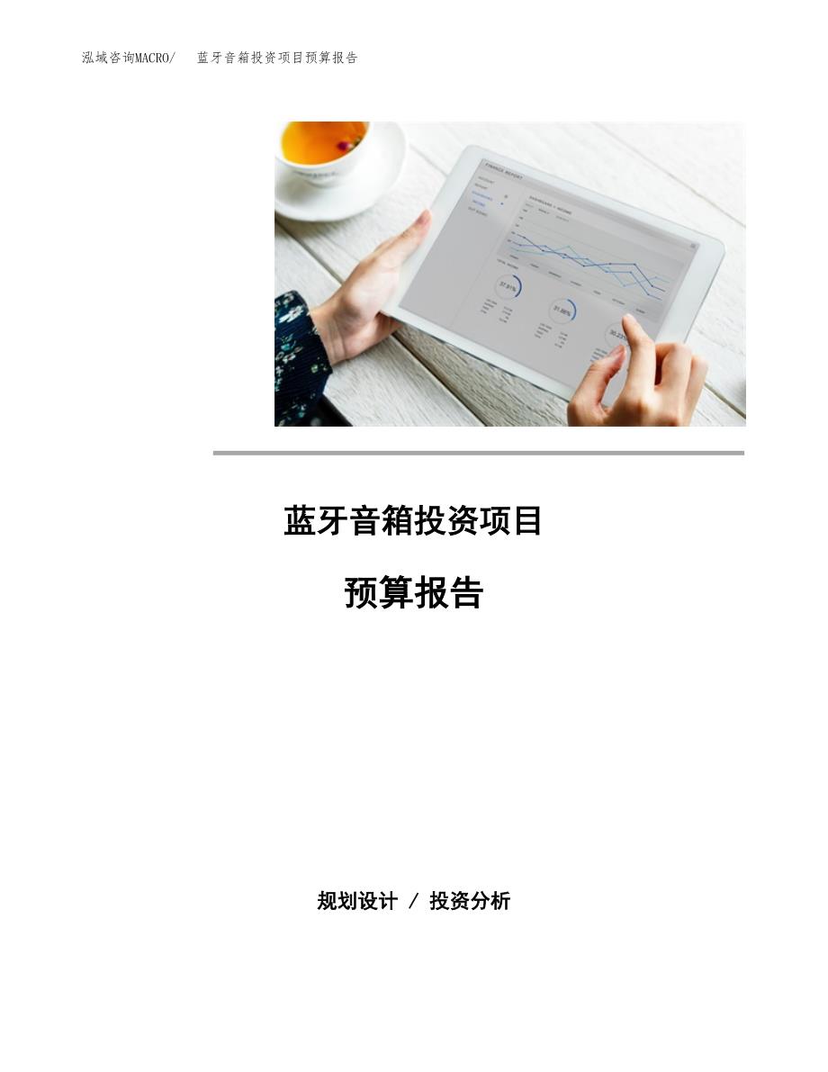 蓝牙音箱投资项目预算报告.docx_第1页