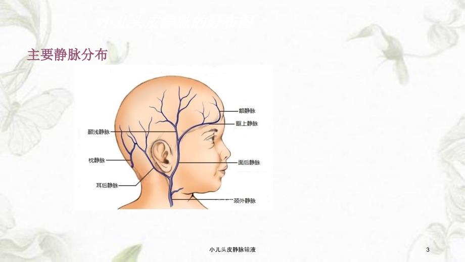 小儿头皮静脉输液课件_第3页